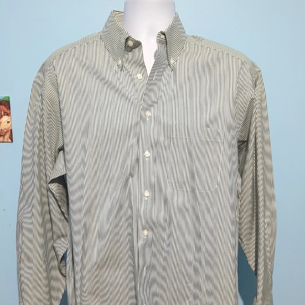 Roundtree & Yorke Men's Sage Striped Button Down Shirt